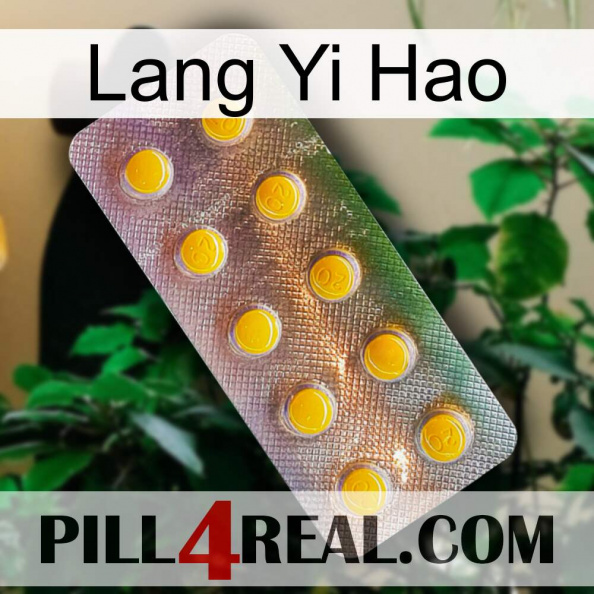 Lang Yi Hao new11.jpg